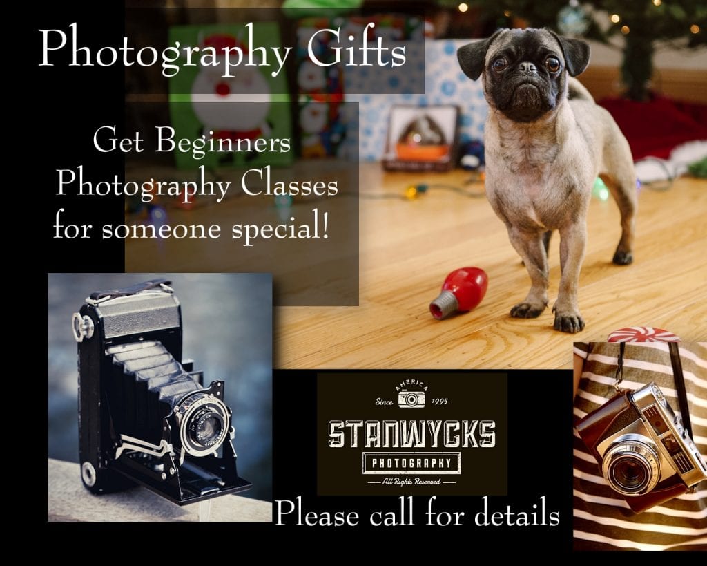 New Orleans Photo, Beginners Photography Classes STANWYCKS PHOTO